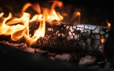 dan Penanganan Bukti